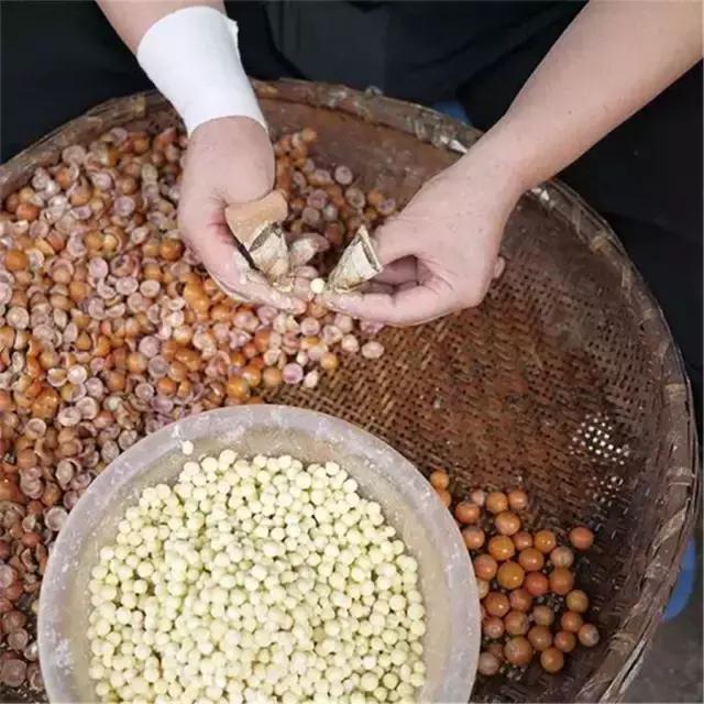 苏州鸡头米为什么那么贵,苏州鸡头米价格多少钱一斤