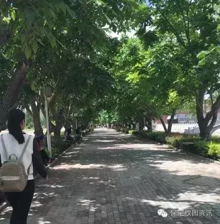 保定夏季“9所”最美大学校园