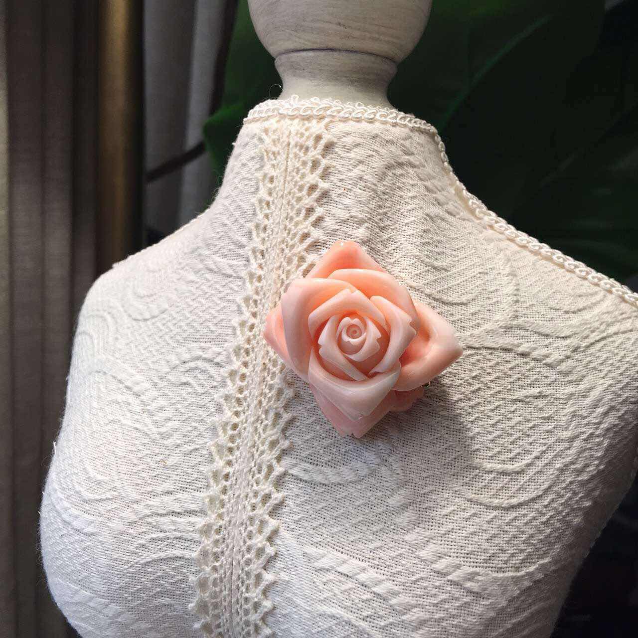 五颜六色的珊瑚美景,欧洲珊瑚之美图片