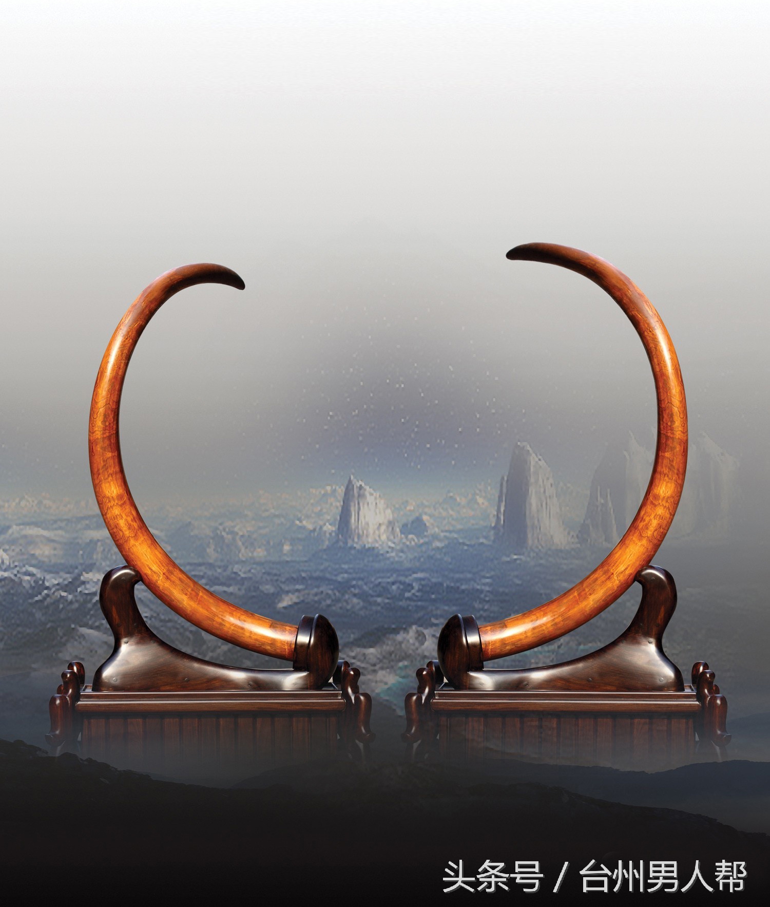 冰封数万年的猛犸象,藏传老猛犸象牙