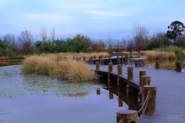 西昌邛海公园最新消息,西昌邛海湿地可以从哪个门进去
