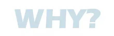 燕窝禁止入境吗,人参花胶燕窝灵芝冬虫夏草海参