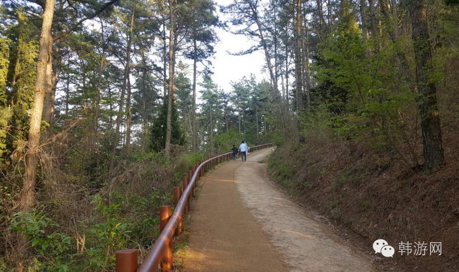 老司机的韩国南部深度游！老司机请带带我这才叫旅游！