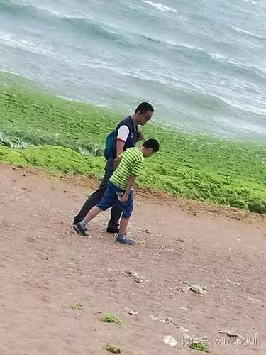 我的警爸警妈,警爸警妈的视频