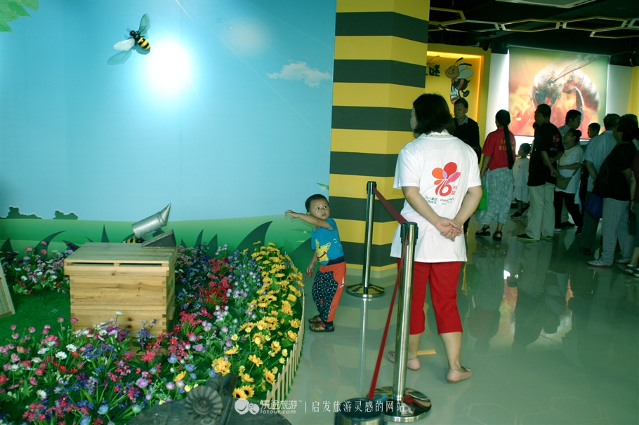 石家庄赞皇特产枣花,赞皇枣花