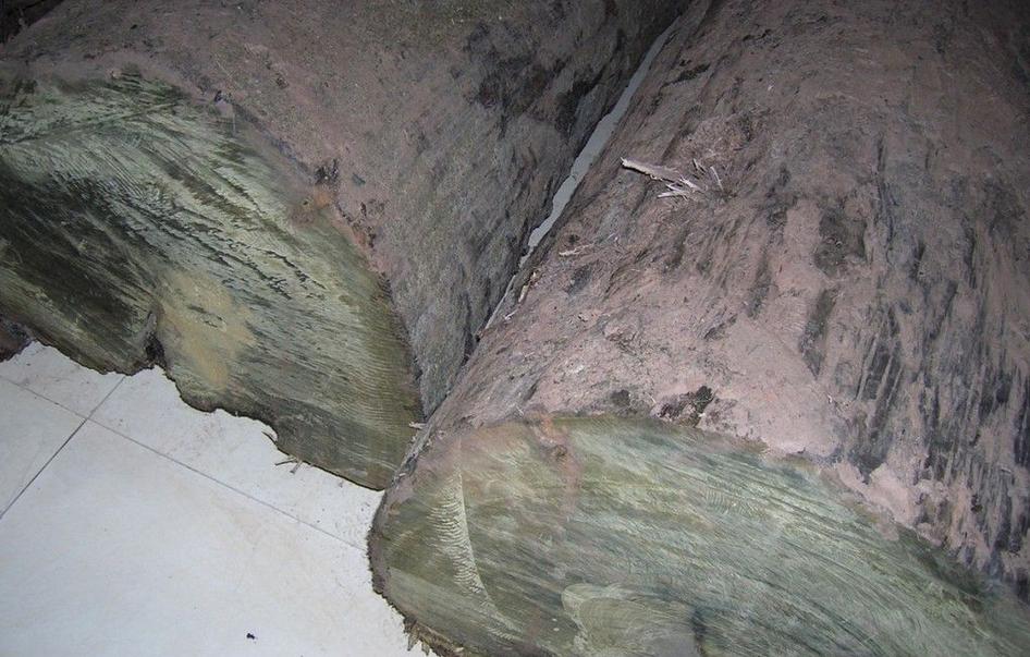 金丝楠阴沉木的形成,华豫之门金丝楠阴沉木家具