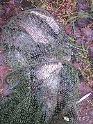 内乡县余关镇杨洼水库,杨洼水库游玩