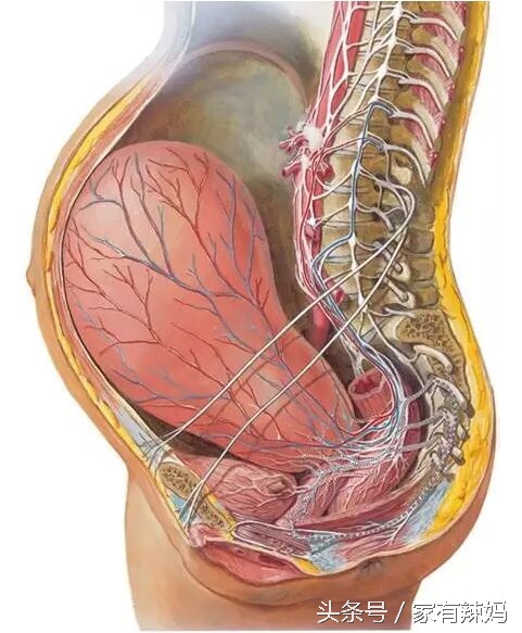 产后瘦身运动完整版,有效的产后瘦身