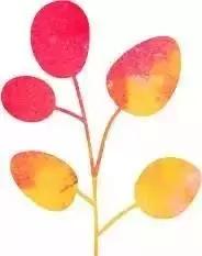 重庆水上乐园开了吗,重庆水上乐园推荐攻略