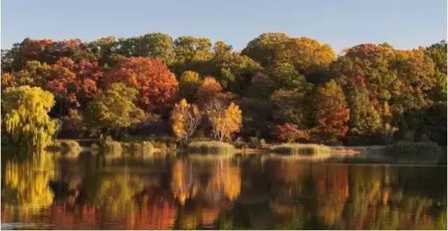 山西身份证为什么是14开头,山西身份证14开头