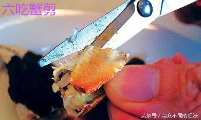 螃蟹怎么挑选公还是母,怎么挑公螃蟹和母螃蟹