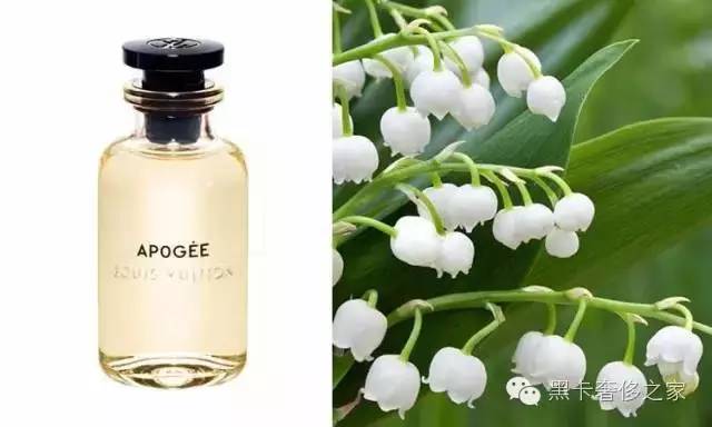 70年磨一剑，LV终于也出香水了！九月全球发售！