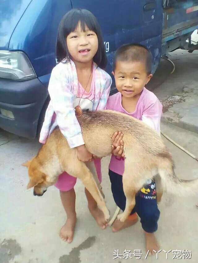 不穿鞋的原因竟然是？还好狗狗陪着你们我很放心