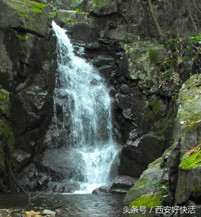 如何选购瓶装水,如何选购钓鱼的桶装水
