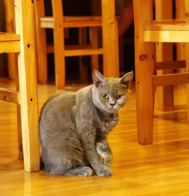 搴楅摵閲囪,搴楅摵涓撹