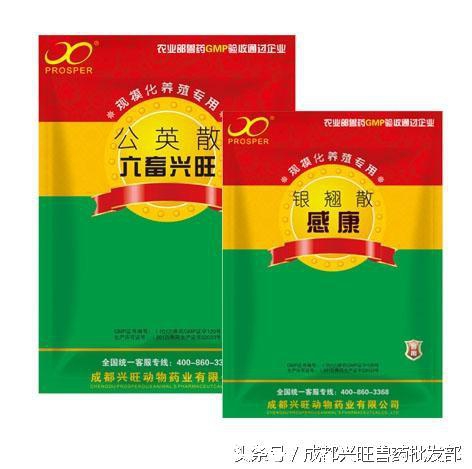 猪产科疾病,乳房炎防治方案