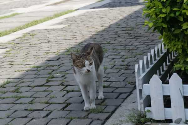 在台湾流浪14天~火星人的环岛路线！