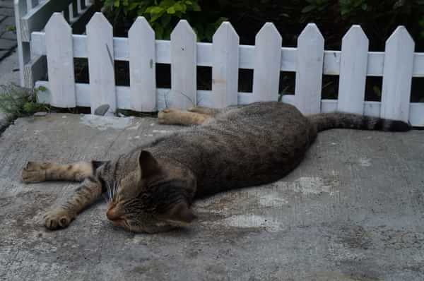 在台湾流浪14天~火星人的环岛路线！