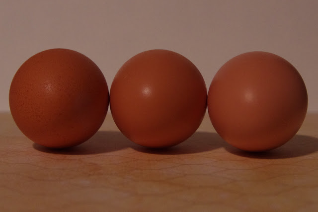 鸡为什么会生出长形鸡蛋,鸡蛋的颜色与鸡有什么关系