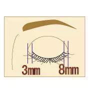 自然妆的眼影正确化妆方法,眼妆教程日常化妆没有多少睫毛