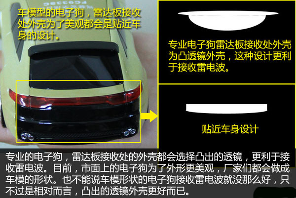 一张图看懂狗的智力,几张图看完狗的一生