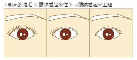 简单的日常妆容打个粉底和遮瑕膏,新手化妆入门教程眼妆睫毛