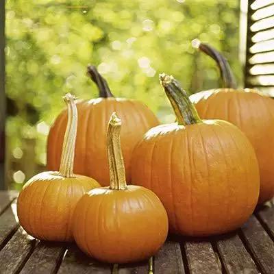 被丢掉的八种蔬菜根竟有特殊用处,生活中哪些常见蔬菜是中药