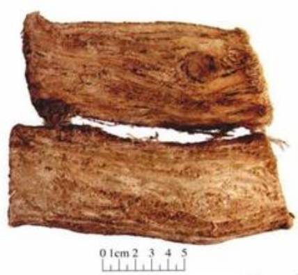 中药知识必学百合,中药知识必学僵蚕