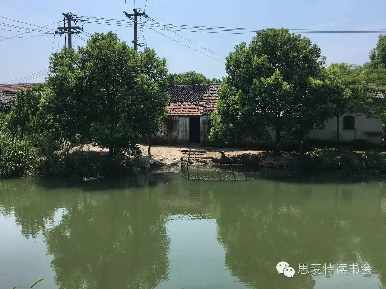 书友佳作｜隐逸在吴江世外桃源的老桥