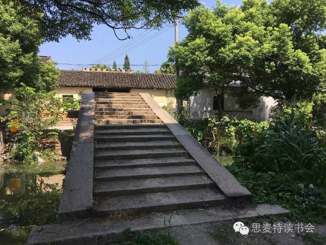 书友佳作｜隐逸在吴江世外桃源的老桥