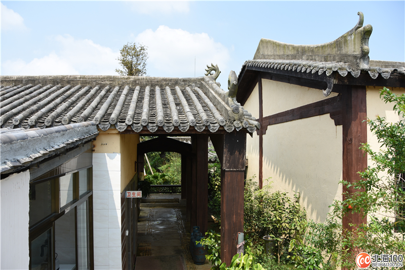 周末去哪儿玩？小编带你去合浦七里香茶庄园和石康镇“小村故事”