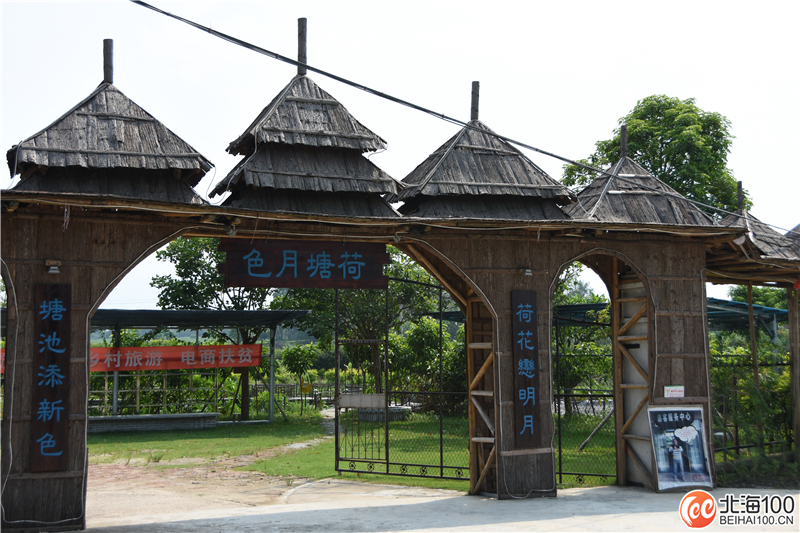 周末去哪儿玩？小编带你去合浦七里香茶庄园和石康镇“小村故事”