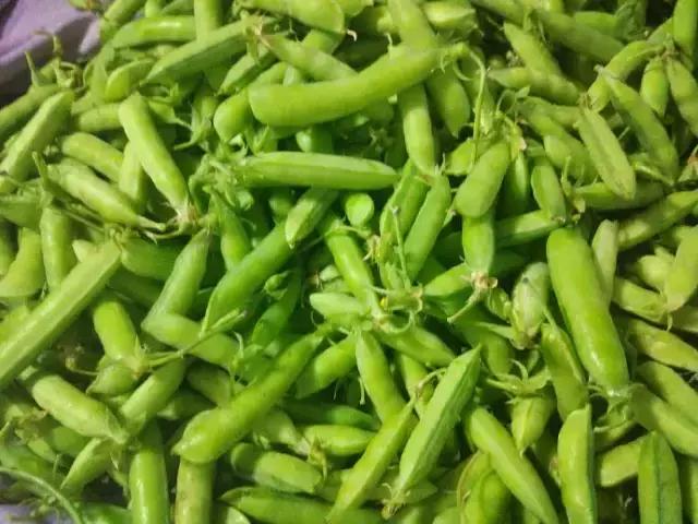 旅行西藏边界,新疆旅游景点推荐江布拉克