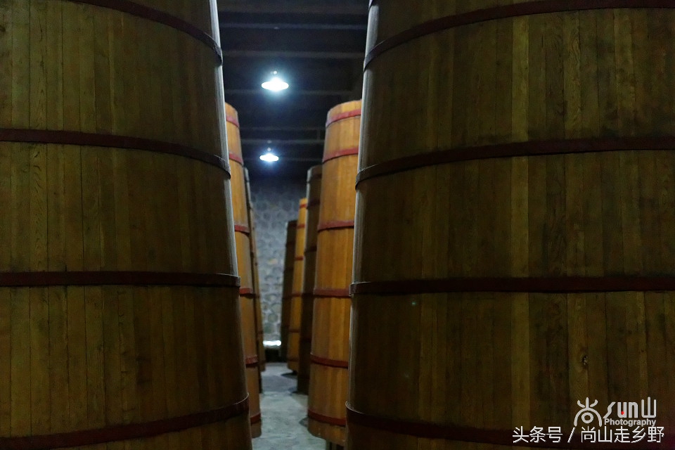 走进红酒庄园,走进葡萄庄园