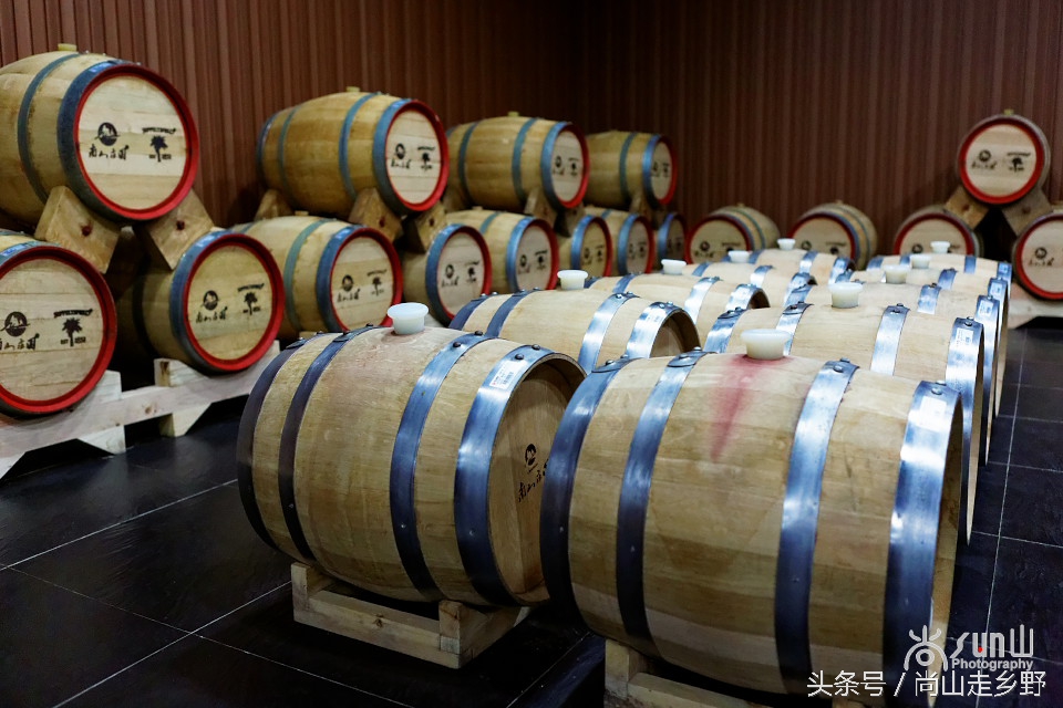 走进红酒庄园,走进葡萄庄园