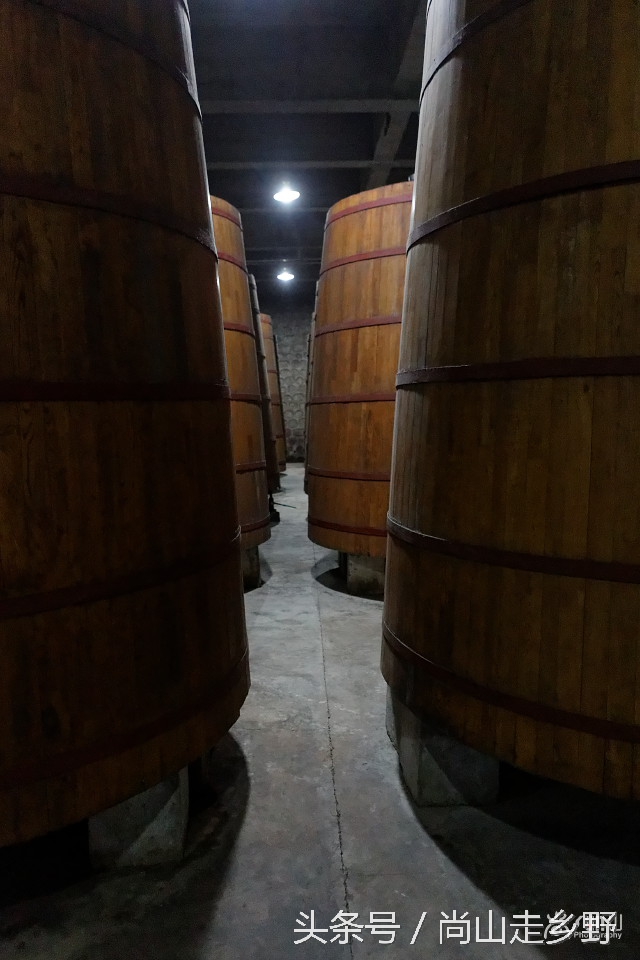 走进红酒庄园,走进葡萄庄园