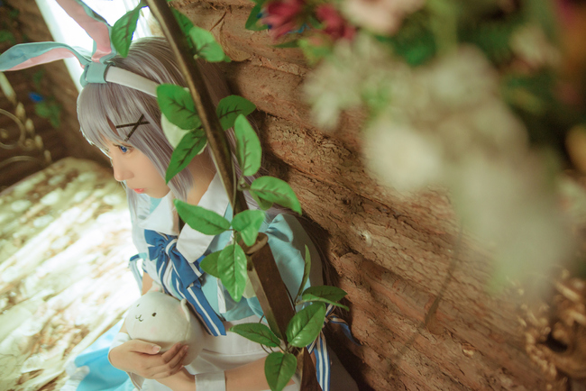 香风智乃cos假发造型过程,香风智乃cos正片户外