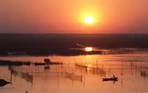 保定周边免费看红叶最佳旅游地点,保定周边一日游看红叶自驾游