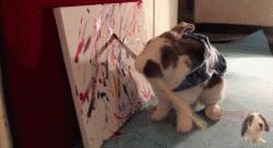 听说宠物兔是女神收割机但是兔兔不乖怎么办？