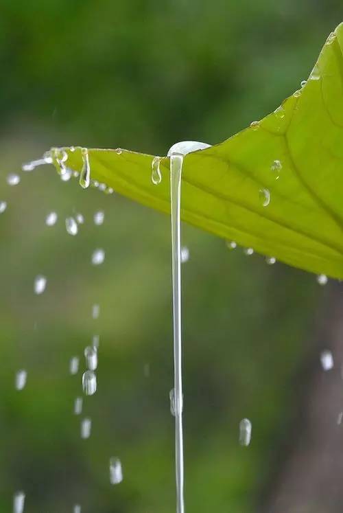 孕妈遇到的奇葩事,孕妈如何避免尴尬