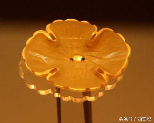 姹熻タ鐪佸崥鐗╅鐜夊櫒,姹熻タ鐪佸崥鐗╅鐜夊櫒澶氬悧