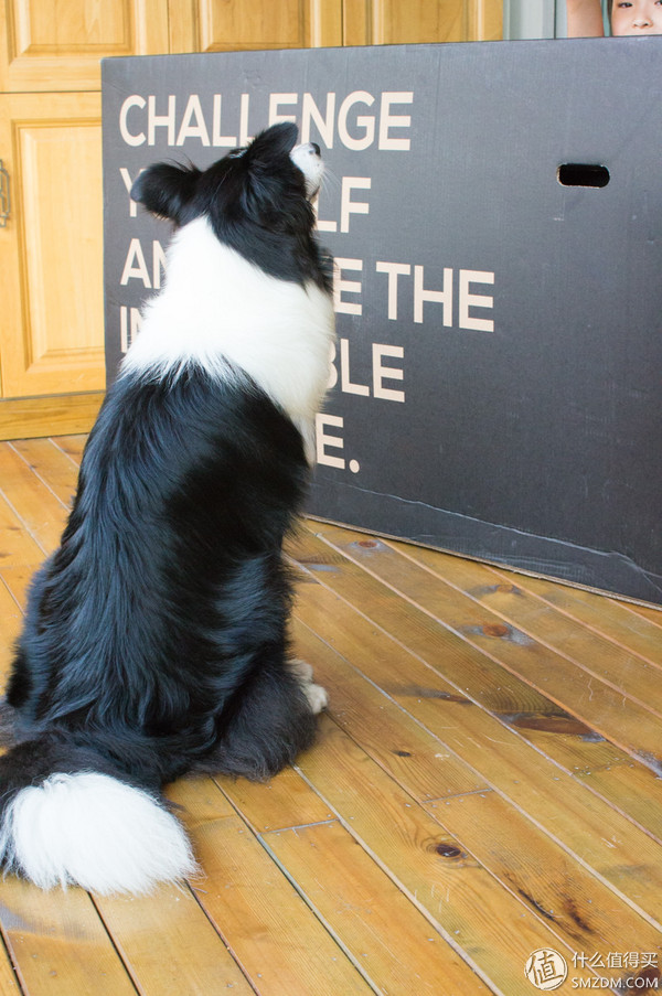 猎狐自行车的测评,猎狐山地车测评