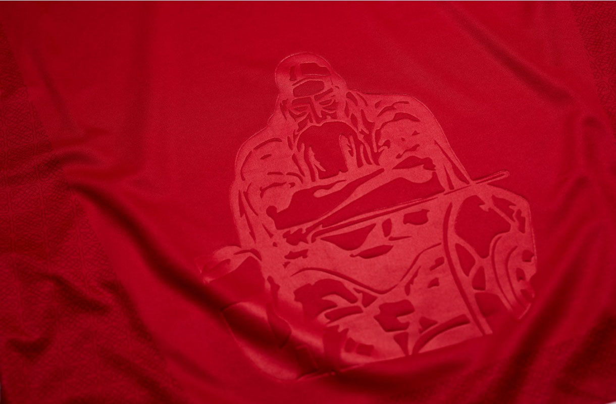 2019丹麦队员球衣,丹麦2024年主场球衣