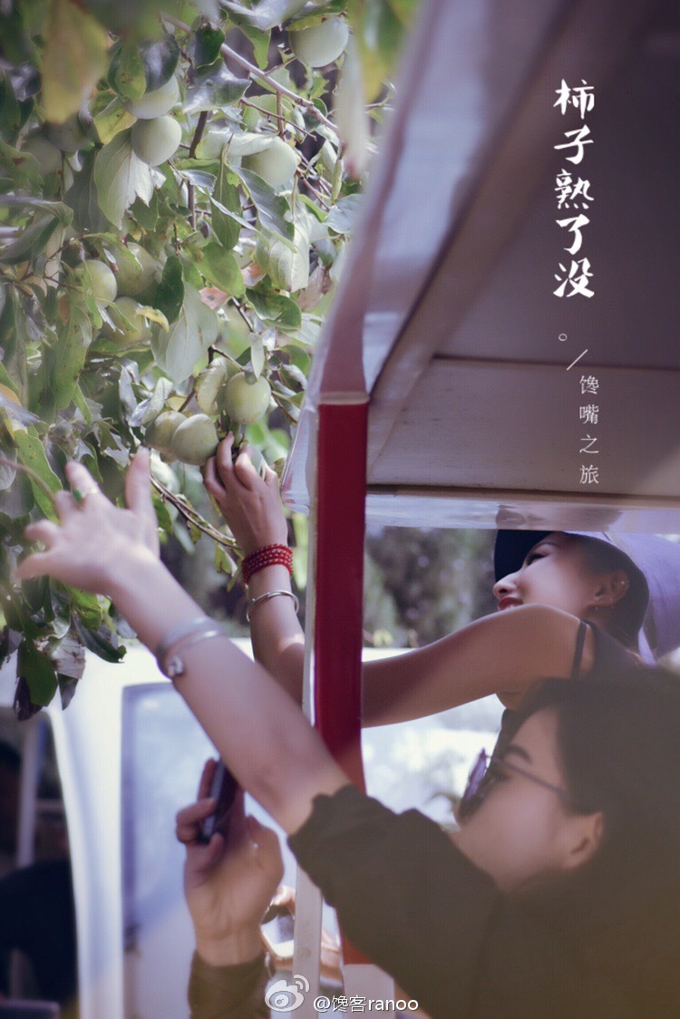 馋嘴之旅|与网红同行醉美云南弥勒红酒庄