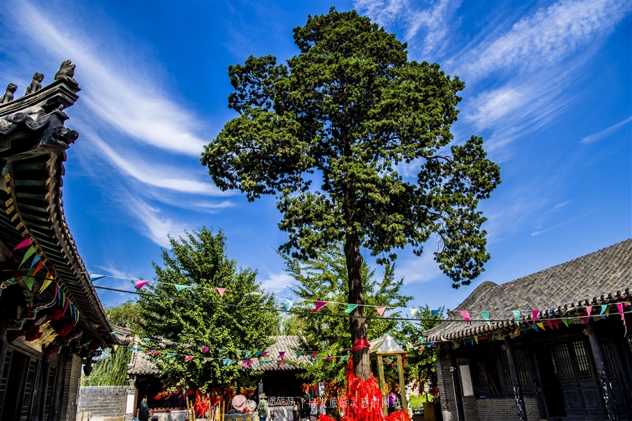 兴城亲子,兴城亲子攻略