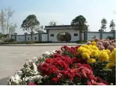 德阳美丽自然风光,德阳学校风景