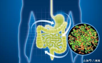 一种被忽略的药物：人体内的微生物