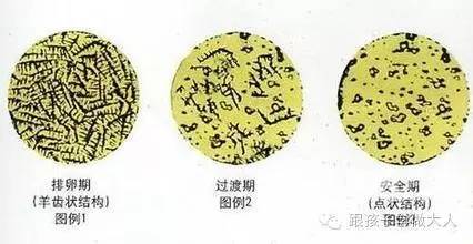 备孕准妈达到什么程度可以受孕,备孕期间排卵日怎么知道