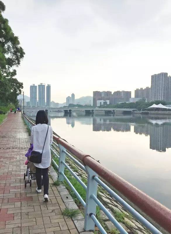 香港|两日一夜,不出沙田到底怎么玩