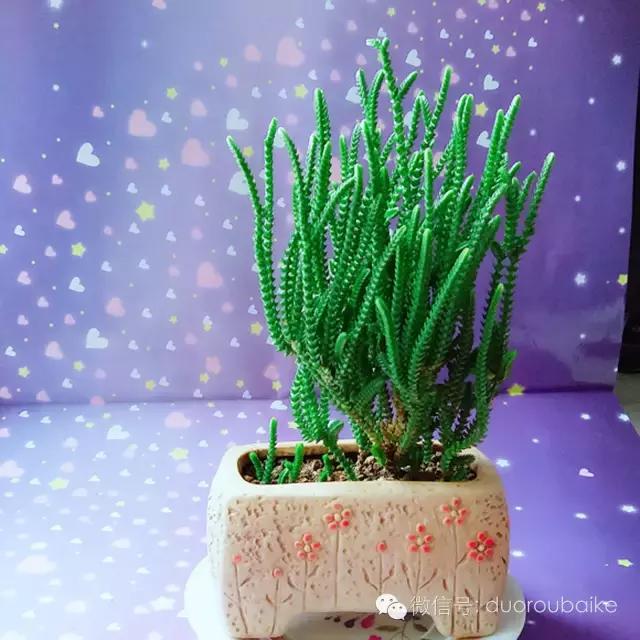 入坑就不能自拔,入坑后无法自拔